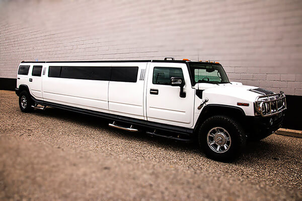 18-passenger limousine