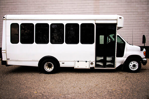 22-passenger party bus