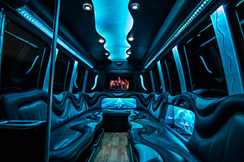 South Carolina party bus rental