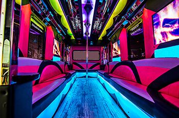 24-passenger party bus