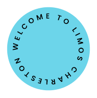 video logo